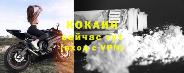крисы Горняк