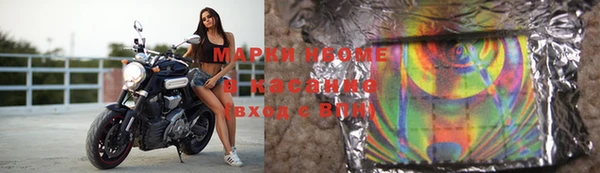 ПСИЛОЦИБИНОВЫЕ ГРИБЫ Горно-Алтайск