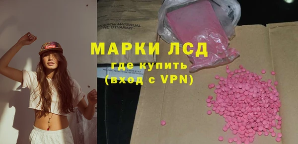 крисы Горняк