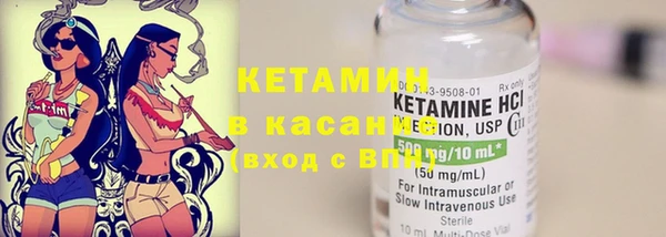 крисы Горняк