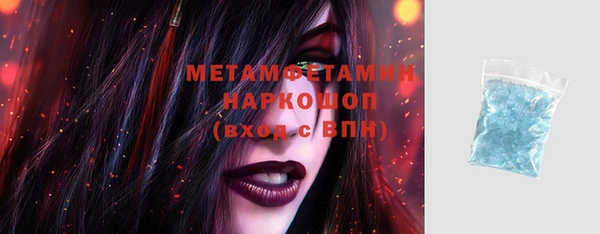 ПСИЛОЦИБИНОВЫЕ ГРИБЫ Горно-Алтайск