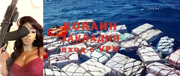 крисы Горняк