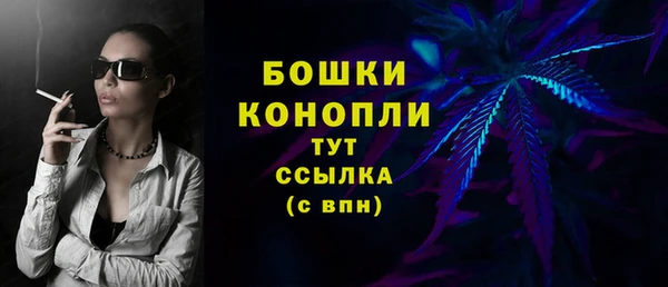 крисы Горняк