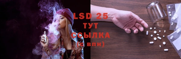 крисы Горняк