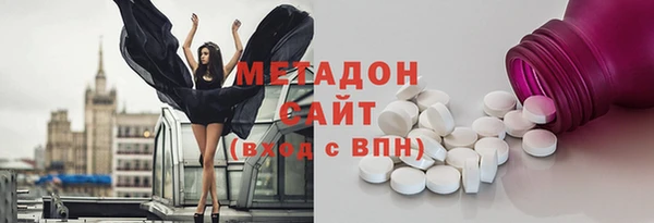 ПСИЛОЦИБИНОВЫЕ ГРИБЫ Горно-Алтайск