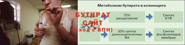 ПСИЛОЦИБИНОВЫЕ ГРИБЫ Горно-Алтайск