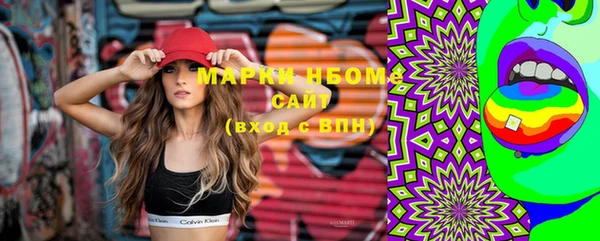 ПСИЛОЦИБИНОВЫЕ ГРИБЫ Горно-Алтайск