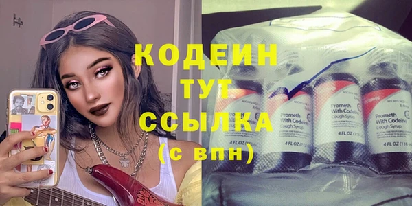 крисы Горняк