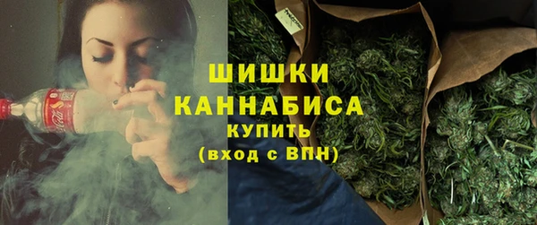 ПСИЛОЦИБИНОВЫЕ ГРИБЫ Горно-Алтайск
