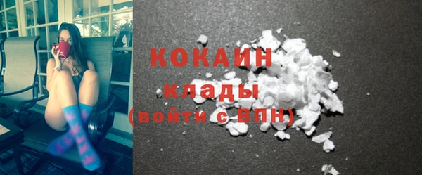 ПСИЛОЦИБИНОВЫЕ ГРИБЫ Горно-Алтайск