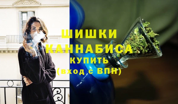 крисы Горняк