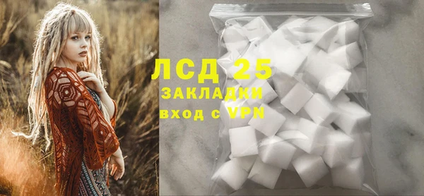 крисы Горняк