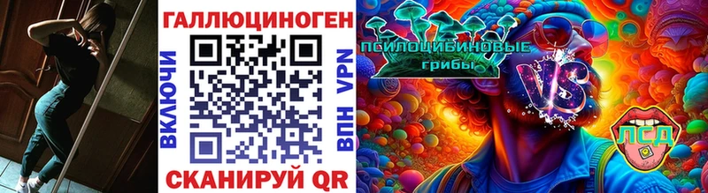 Купить где  Бугуруслан  Псилоцибиновые грибы мухоморы 